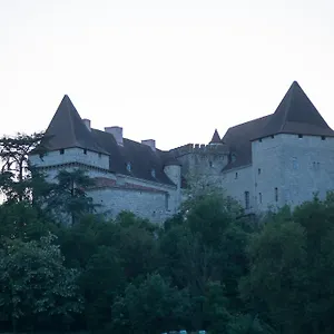 chateau-de-goudourville.midi-pyreneeshotels.com/